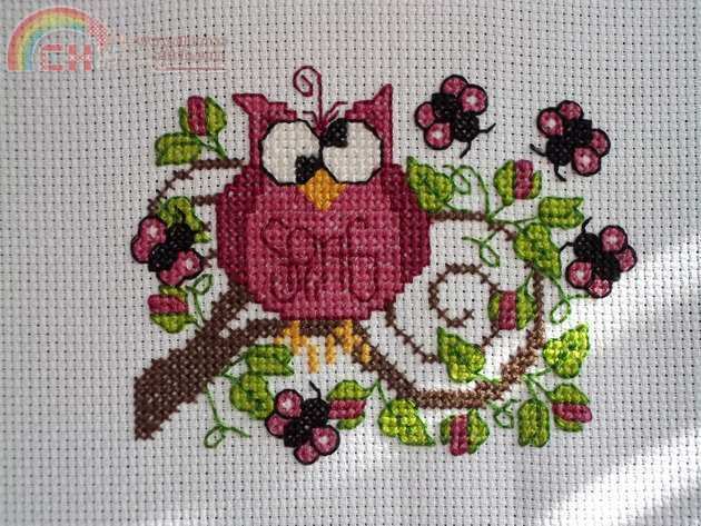 Spring Hoot.JPG