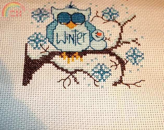 Winter Hoot.JPG