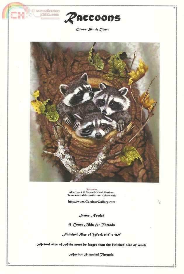 Raccoons - Gardner Gallery.jpg
