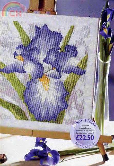 CS Collection 169 Iris.jpg