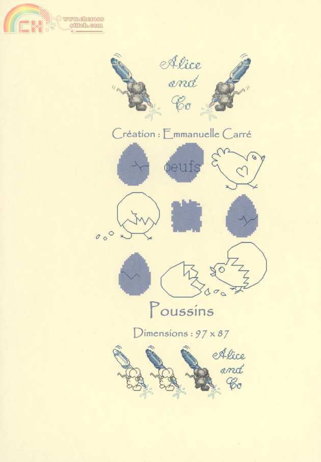 poussins-1.jpg
