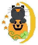little pumpkin kitty.jpg