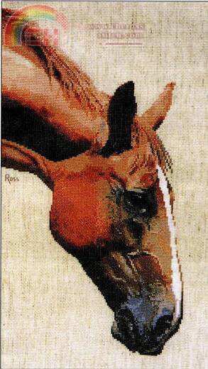 Ross Originals - Appaloosa.jpg