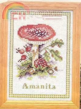 Lanarte 34180 Amanita.jpg