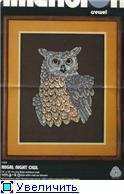 01134 Regal Night Owl.jpg