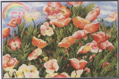 BK210 Poppy field.jpg