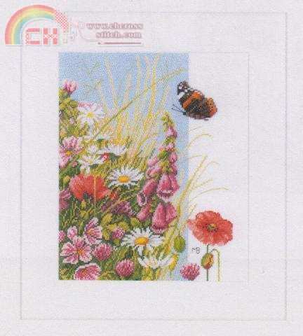 wild flower.jpg
