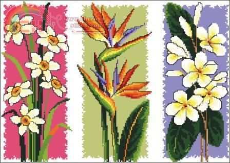 JCD_1292_Bloomin___Buddies.jpg
