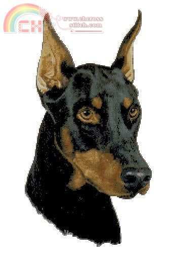 CSC RM-31 Doberman.jpg