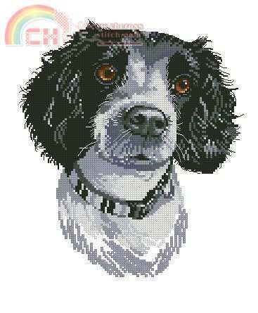 Heritage_Pauline_Gledhill_Animal_Portraits_APJK678.jpg