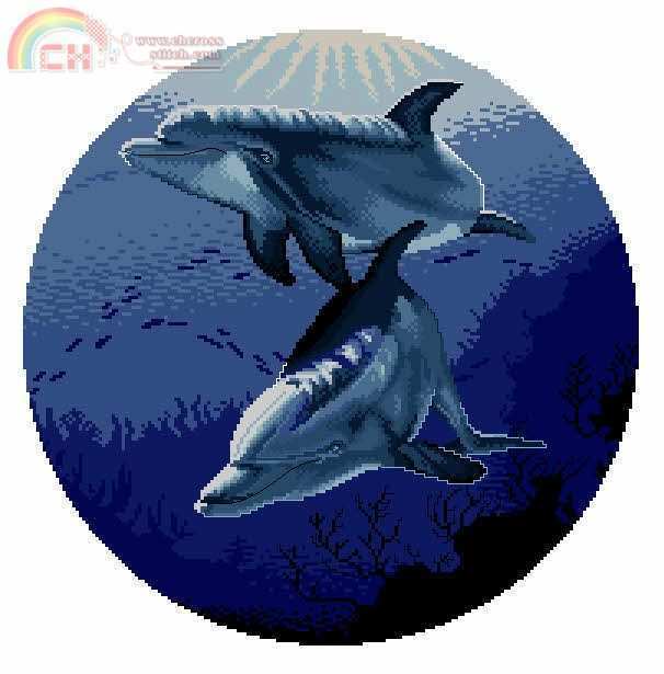 RTO R121 Dolphins.jpg