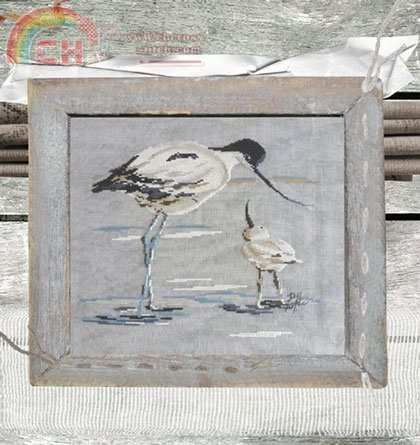 isa-port15-Avocette et son petit.jpg