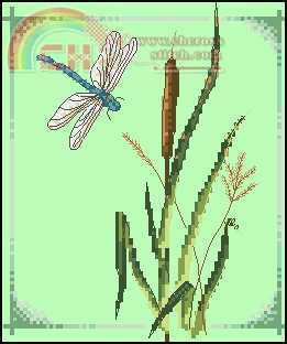 PCE552 Bull Rush and Dragonfly.jpg