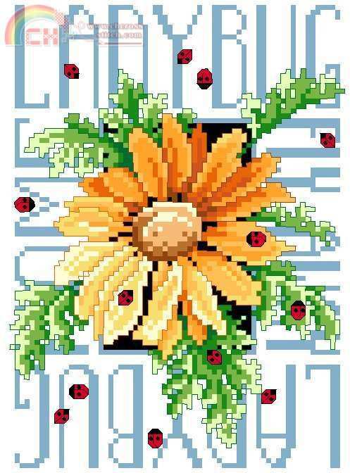 ladybug.jpg