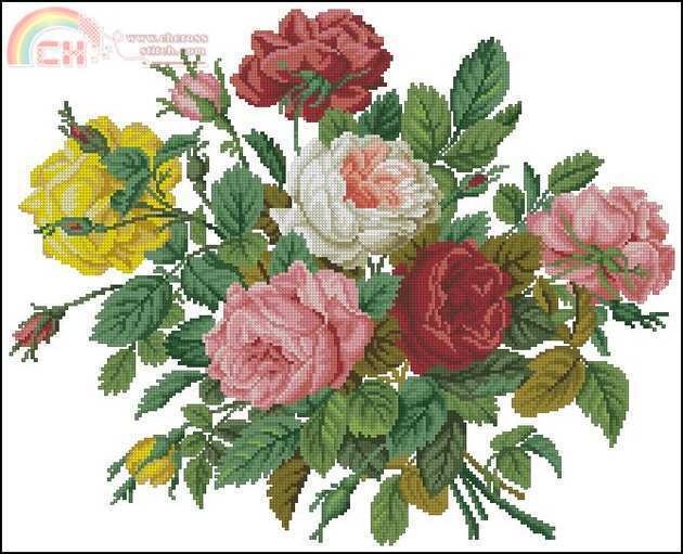 EMS 143 Roses in their Splendour.jpg