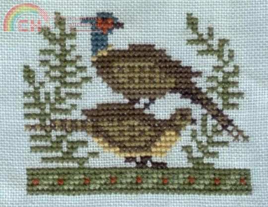1998 Two Pheasants stitched.JPG
