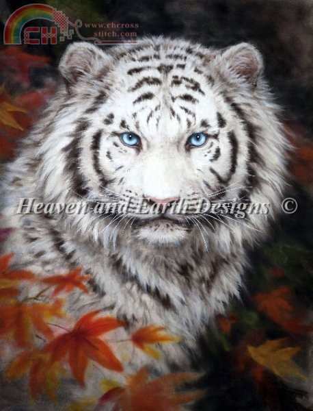 White Tiger Autum.jpg