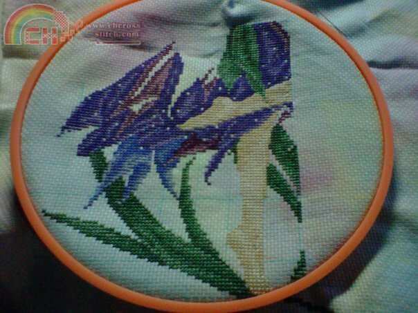 the feet has been shown