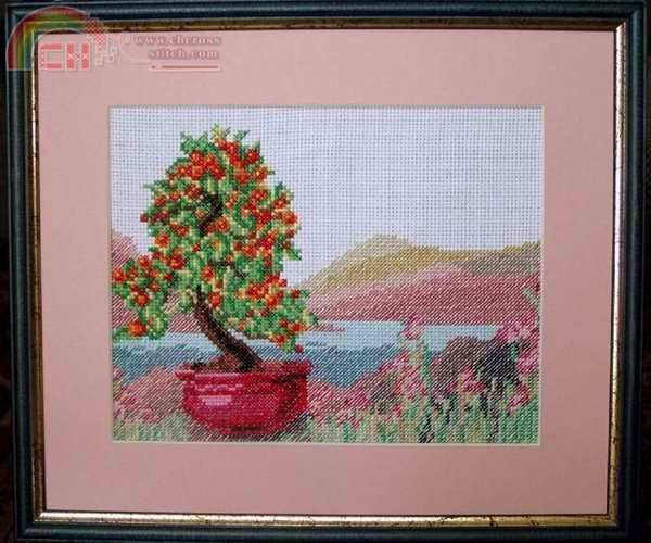 zr b-003 bonsai.jpg
