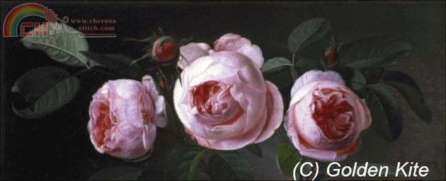 1677. Rosenstilleben.jpg