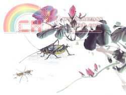 free-cross-stitch-pattern-chinese-painting-grass-hopper-flower-calligraphy.jpg
