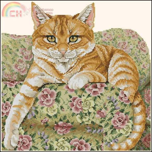 Red cat on the couch.jpg
