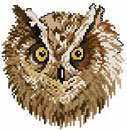Owl Portrait.JPG
