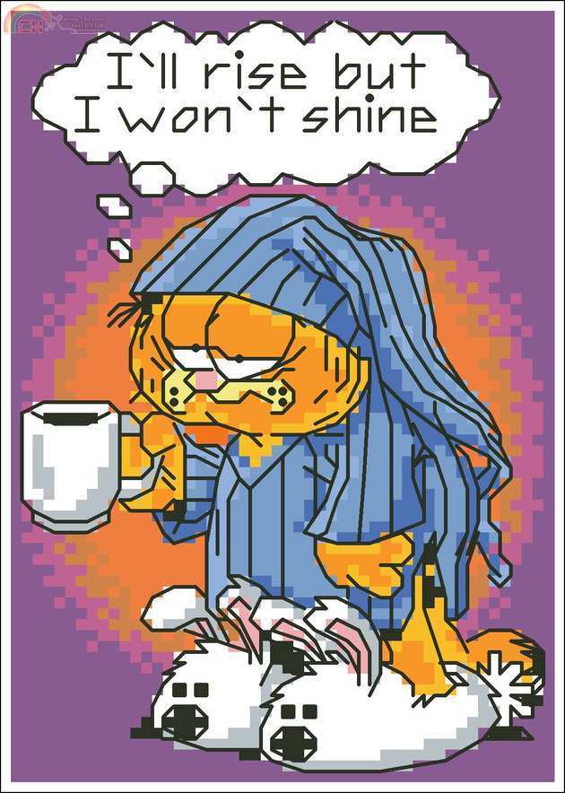 Dim 72787 -Garfield - I wont shine.jpg