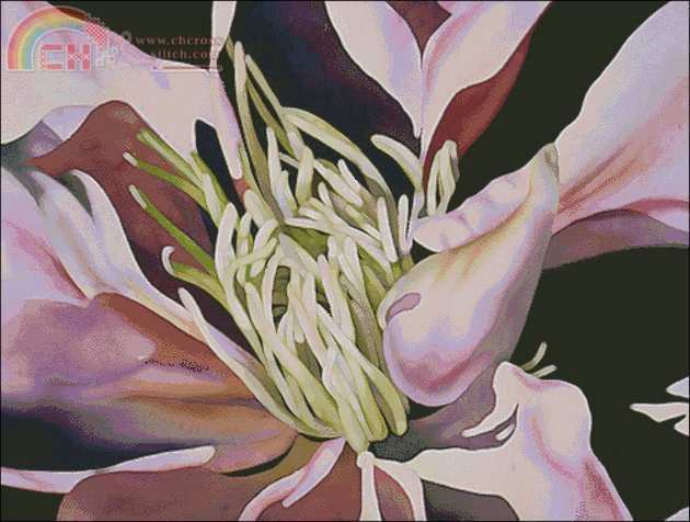 BOC-001 - Anemone Brigit OConnor