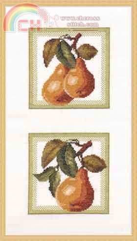 ZR FS-004 Pears.jpg