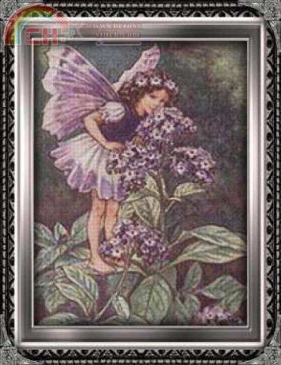 Lavender-Fairy (21).JPG