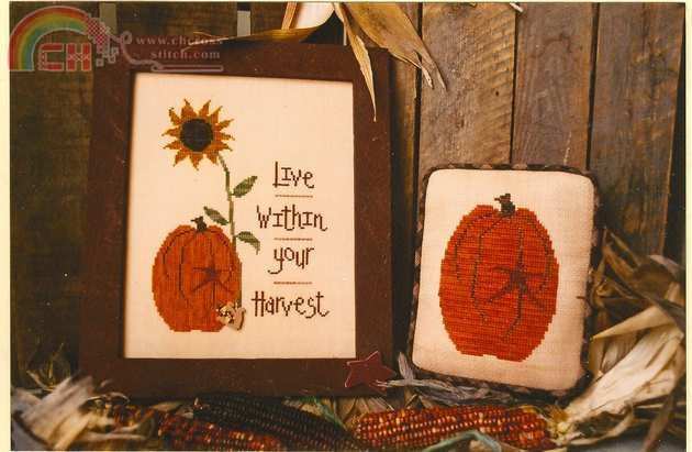 live in harvest 1.jpg