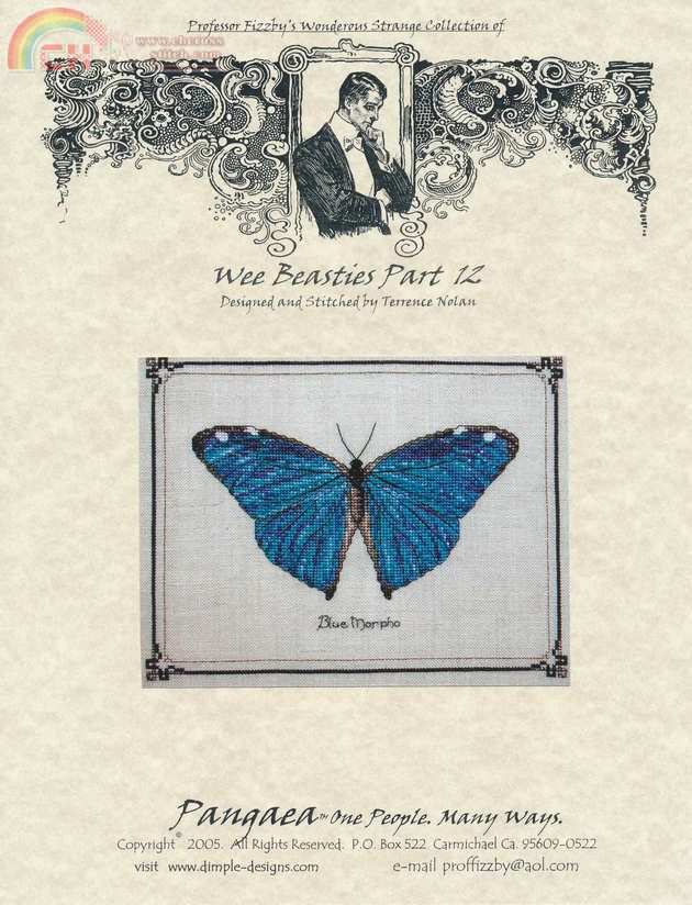 Bluemorpho_0001.jpg