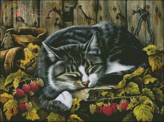 HAED Autumn Siesta