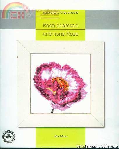 90194 Rose anemone.jpg