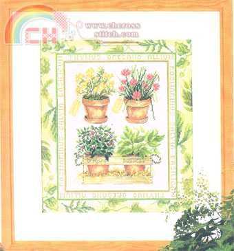 34316 Herbs.jpg