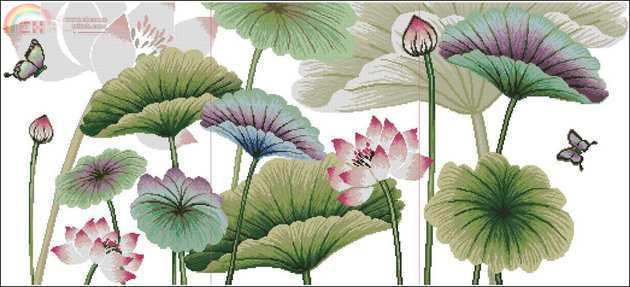 DOME 100404 - With Lotus Flowers