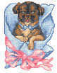 June-BlanketPuppy-Web.jpg