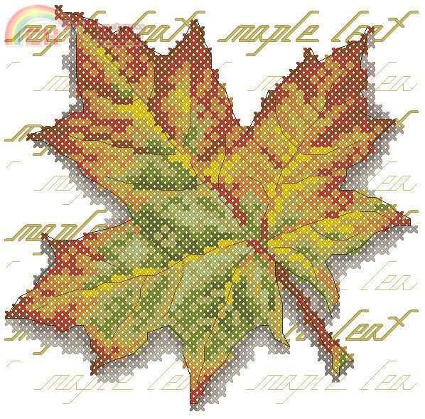 maple-original.jpg