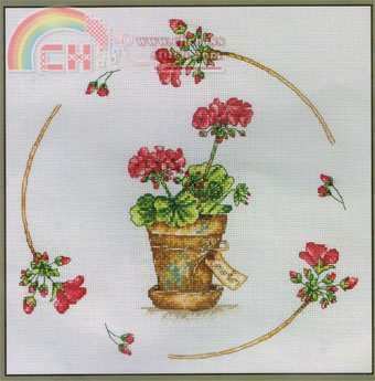 JET0012 Geranium pot.jpg