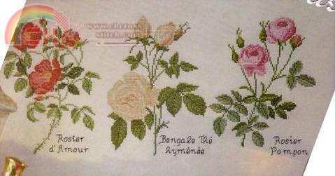 DMC - Jardin de Senteur (xsd).jpg