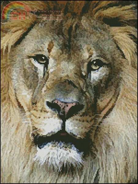 Artecy Lion.jpg
