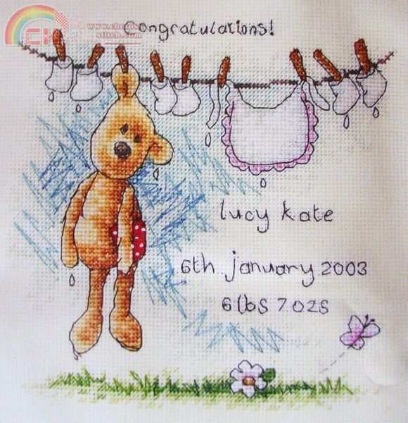 NL104_Birth_Sampler.jpg