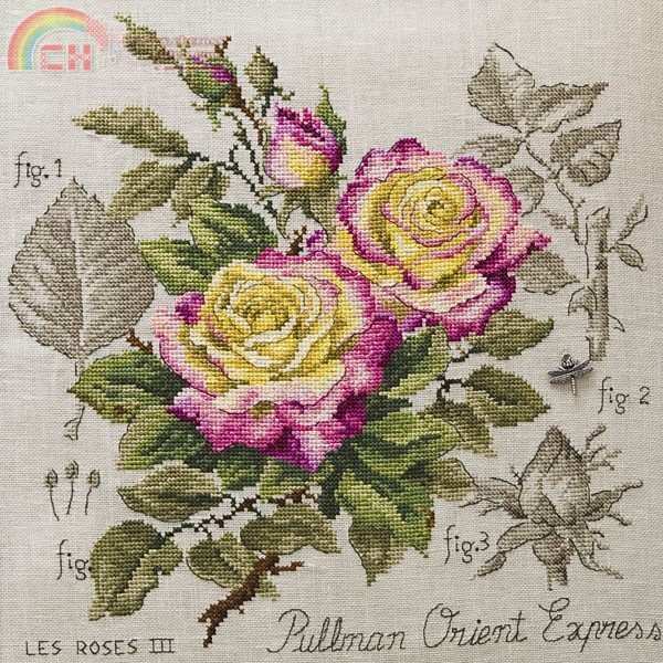 Roses - Pullmann.jpg