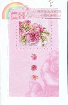 34967 Pink roses.jpg