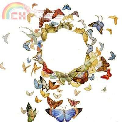 HAEQSSPL 004 QS Empress Ring.jpg