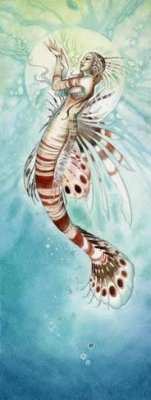 160.HAE - Lion Fish.jpg