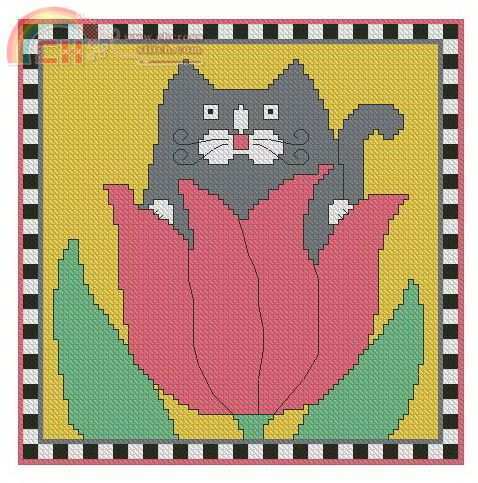 Cat in flower.jpg