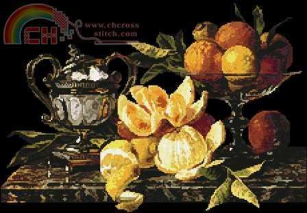 484_still_life_of_o.jpg