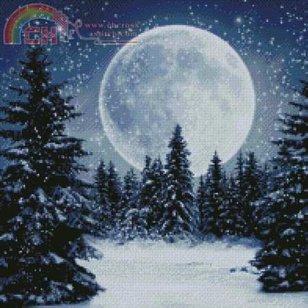 98757 Winter Moon.jpg